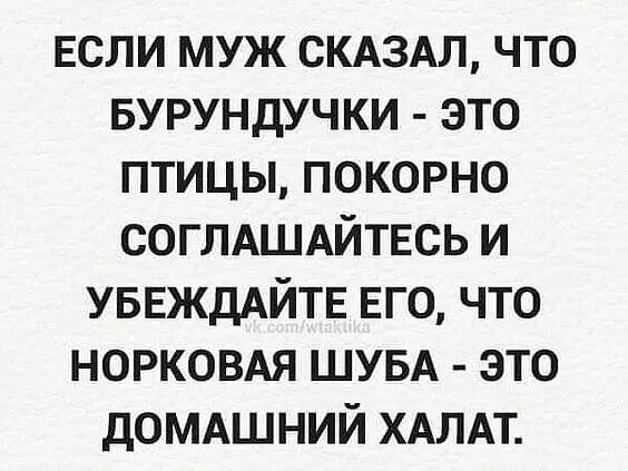 ЕСЛИ МУЖ СКАЗАЛ ЧТО БУРУНДУЧКИ ЭТО ПТИЦЫ ПОКОРНО СОГЛАШАЙТЕСЬ И УБЕЖДАЙТЕ ЕГО ЧТО НОРКОВАЯ ШУБА ЭТО ДОМАШНИЙ ХАЛАТ