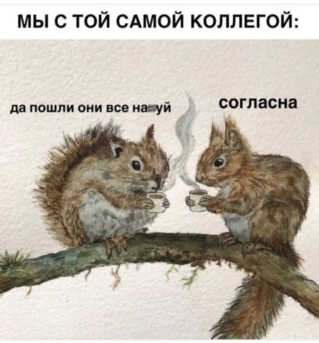 МЫ С ТОЙ САМОЙ КОЛЛЕГОЙ да пошли они все назуй _ согласна