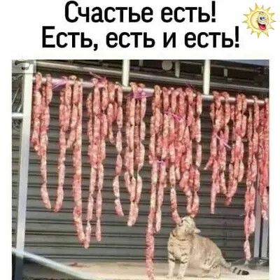 Счастье есть Есть есть и есты