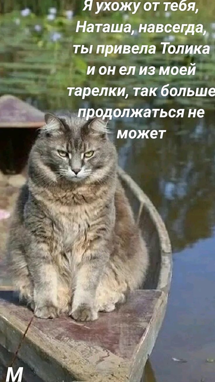 я _ихожу от тебя 3 та Ё піів Толика и он ел из моеи 5 тарелки такбольше продолжаться не