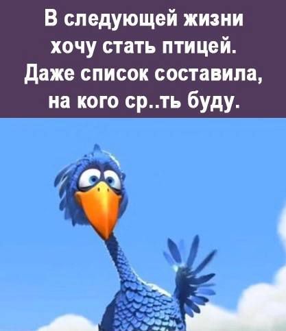 В следующей жизни хочу стать птицей Даже список составила на кого срть буду лй х