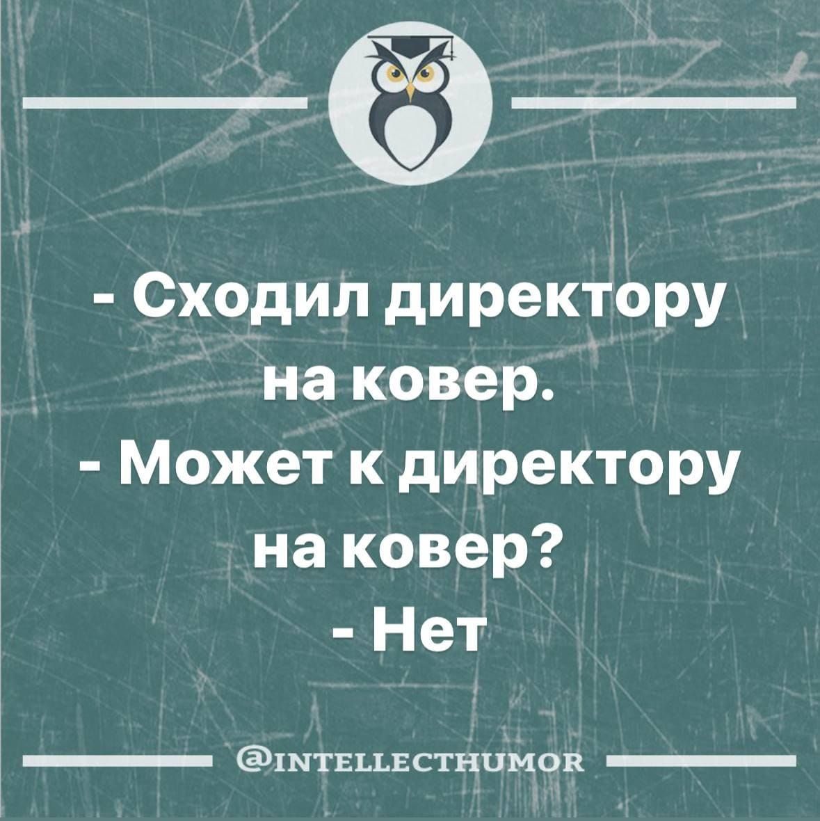 Н Сходил директору наковер Может к директору на ковер Нет 1МтЕМЕСТНОМОВ