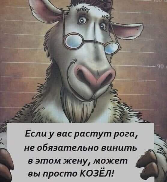 Если уу вас растут рога не обязательно винить вэтом жену может вы просто КОЗЕЛ