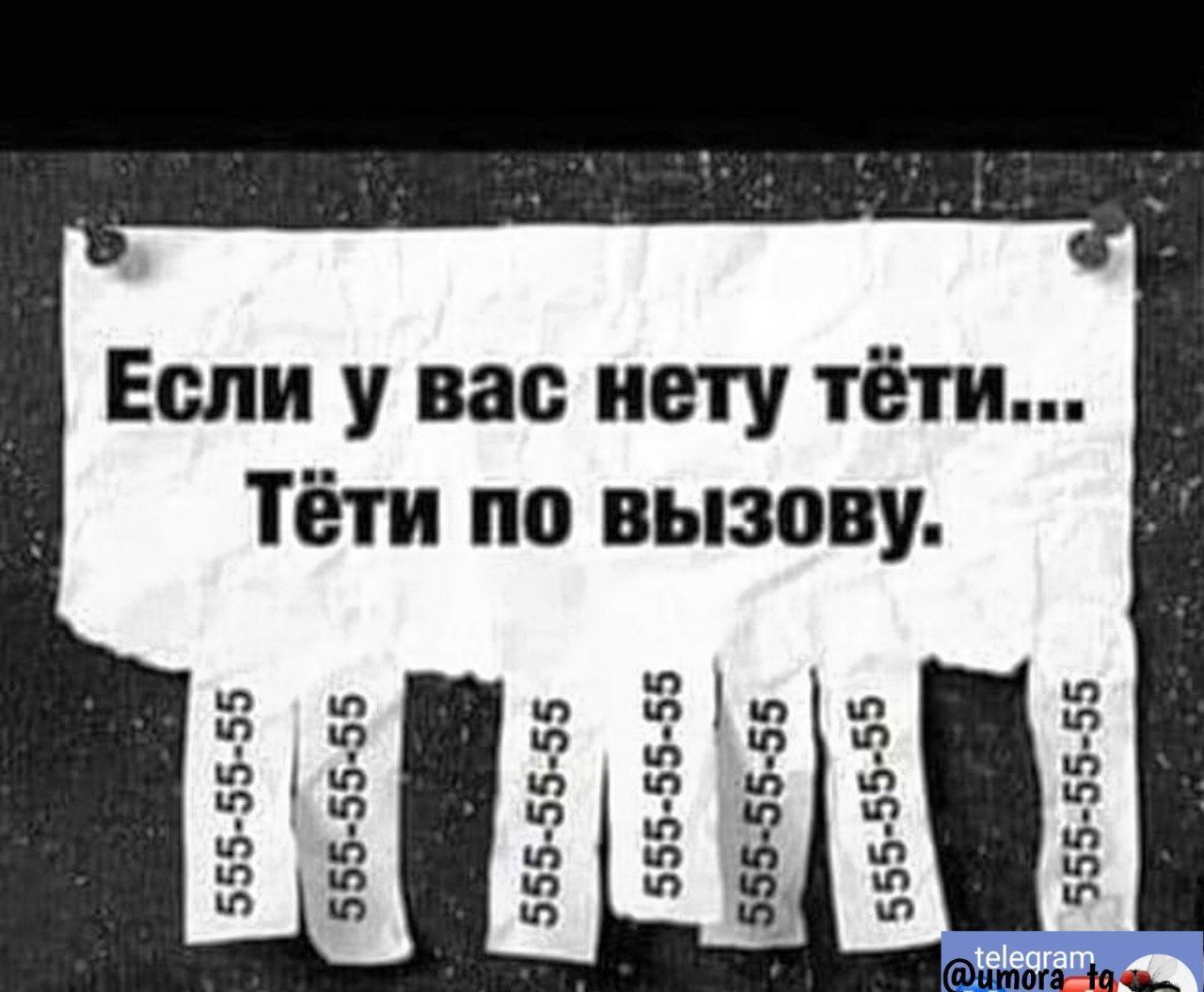 55 65 655 65 65 555 55 55 555 Тёти по вызову 65 65 656 Е в