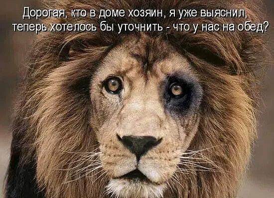 дрме хозяин я уже выясн теловь бы уточнить что у с на