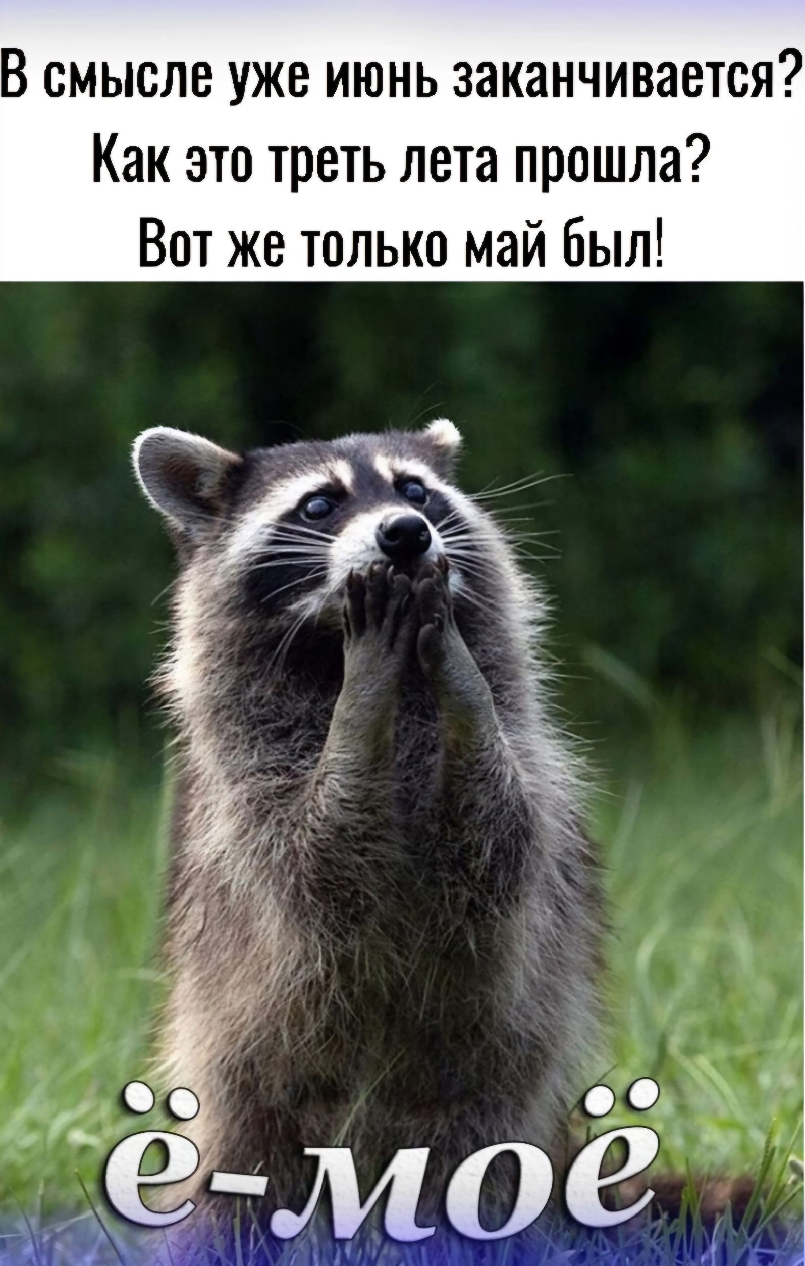 В смысле уже июнь заканчивается Как это треть лета прошла Вот же только май был