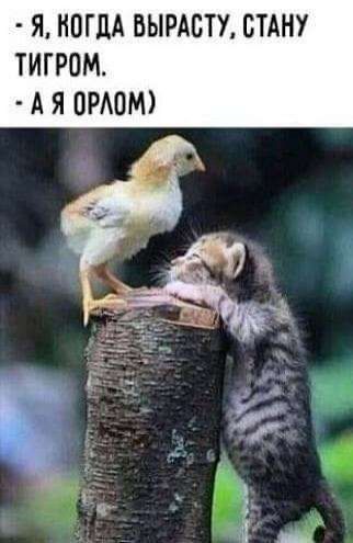Я КОГДА ВЫРАСТУ СТАНУ ТИГРОМ АЯ ОРЛОМ