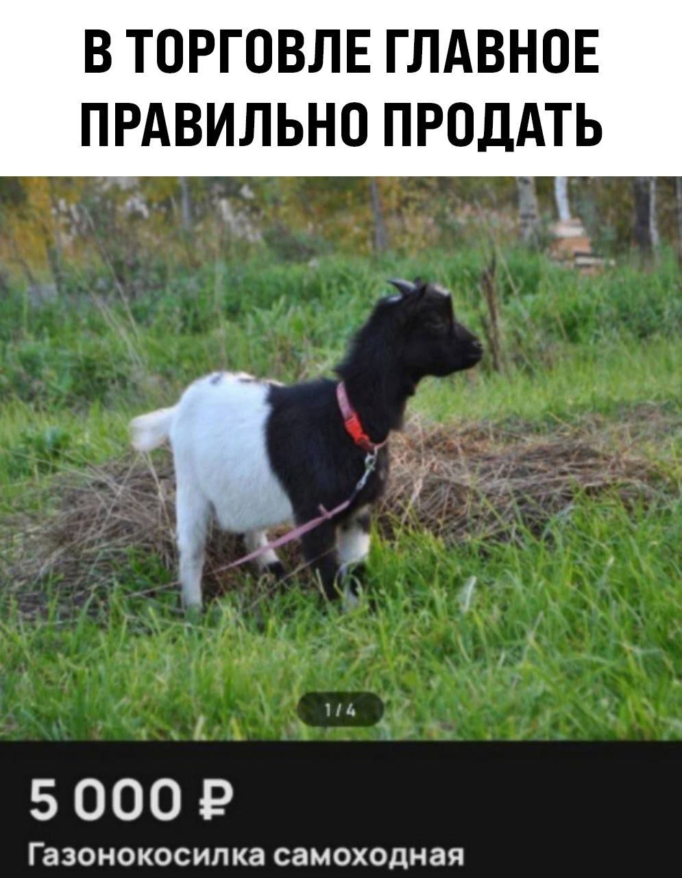 В ТОРГОВЛЕ ГЛАВНОЕ ПРАВИЛЬНО ПРОДАТЬ Газонокосилка самоходная