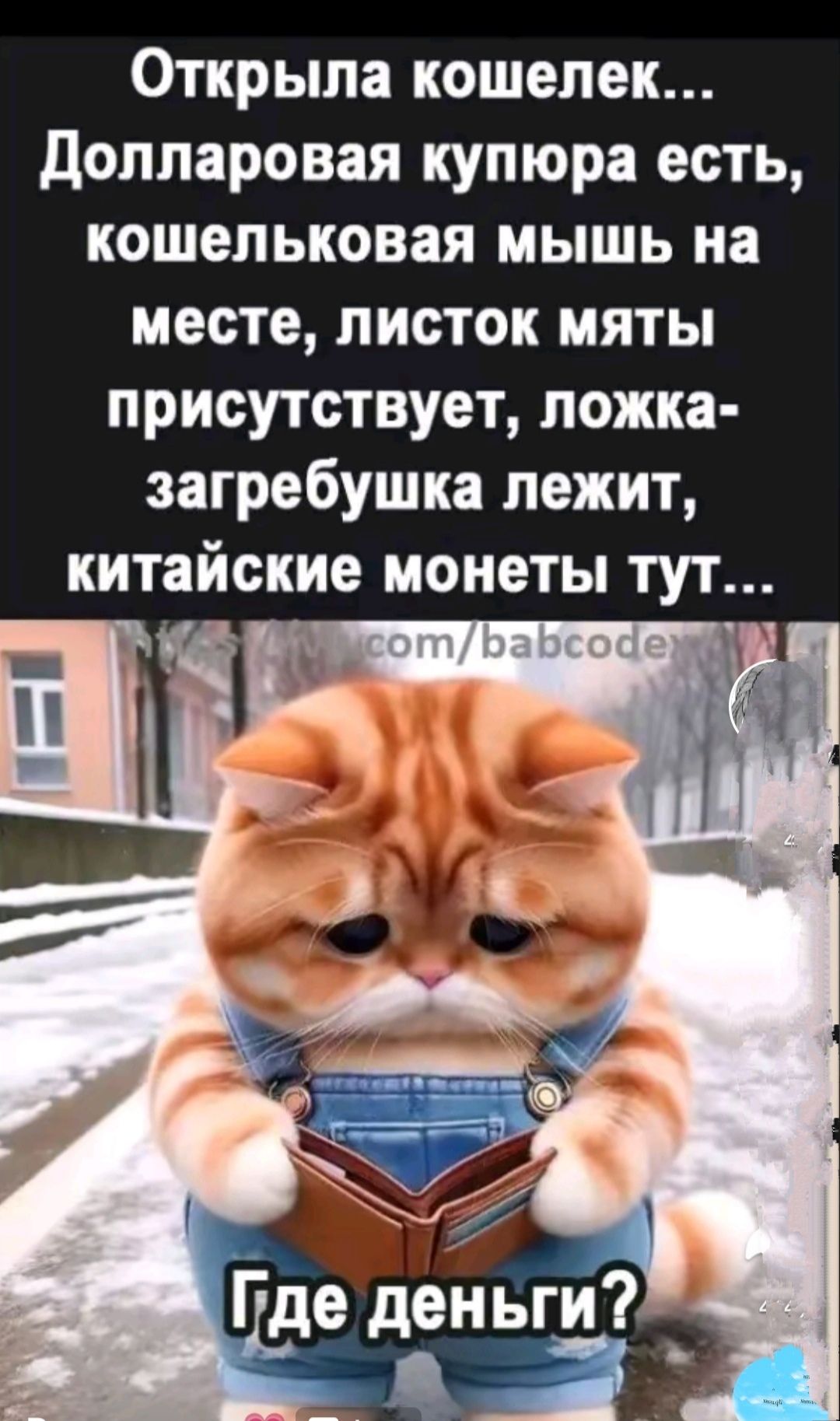 Открыла кошелек Долларовая купюра есть кошельковая мышь на месте листок мяты присутствует ложка загребушка лежит китайские монеты тут М у