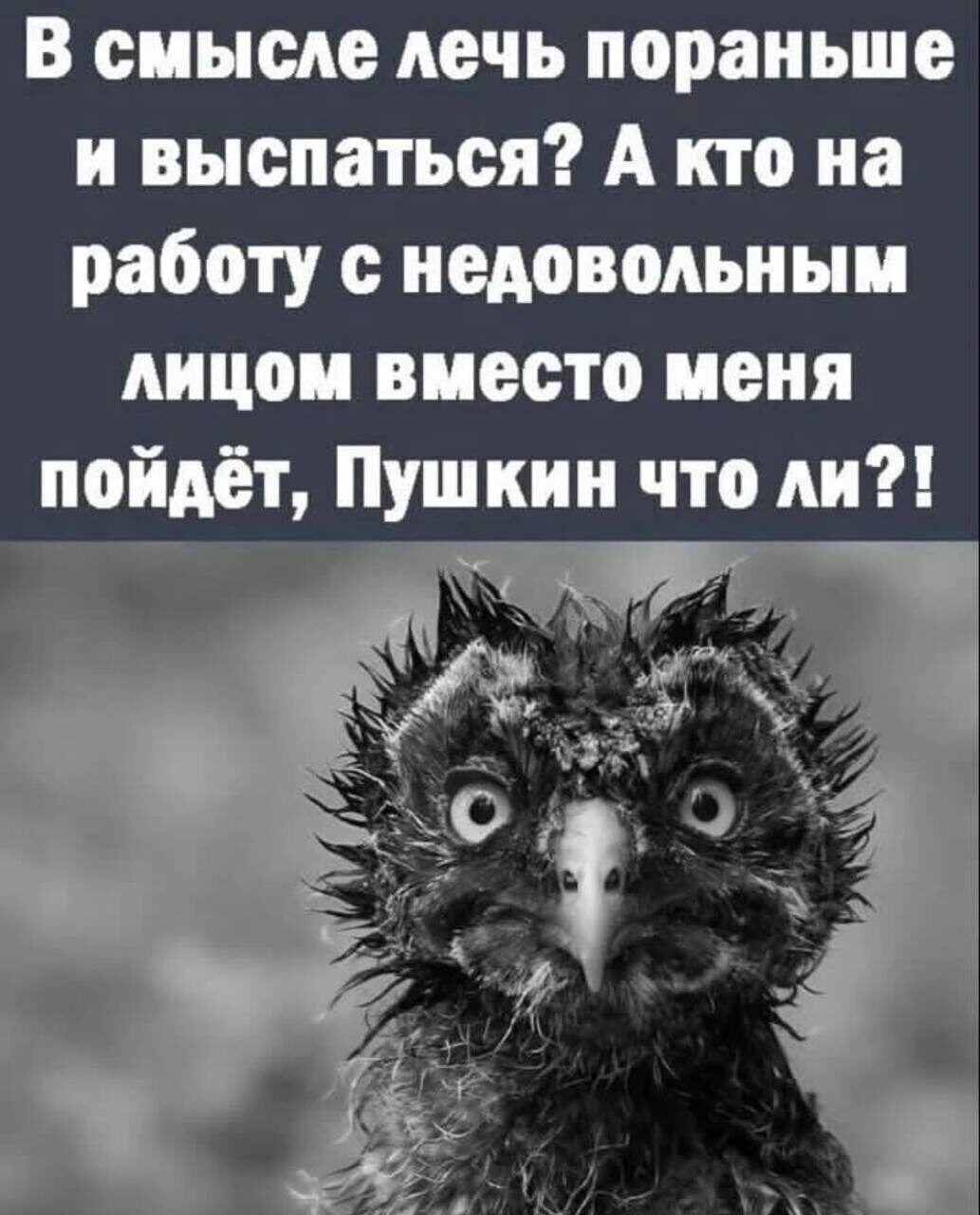 В смысле лечь пораньше и выспаться А кто на работу с недовольным лицом вместо меня пойдёт Пушкин что ли