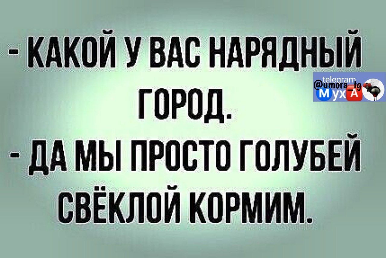 КАКОЙ У ВАС НАРЯДНЫЙ ГоРод ДА МЫ ПРОСТО ГОЛУБЕЙ СВЁКЛОЙ КОРМИМ