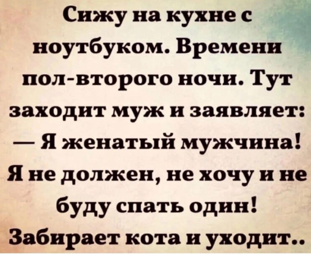 Сижу на кужне с _Ч ноутбуком Времени пол второго ночи Тут заходит муж и заявляет Я женатый мужчина Я не должен не хочу и не буду спать один Забирает кота и уходит
