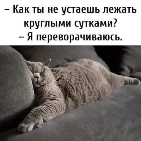 Как ты не устаешь лежать круглыми сутками Я переворачиваюсь