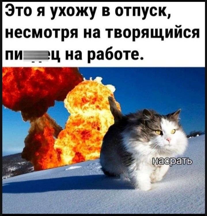 Это я ухожу в отпуск несмотря на творящийся пиваац на работе ае рать