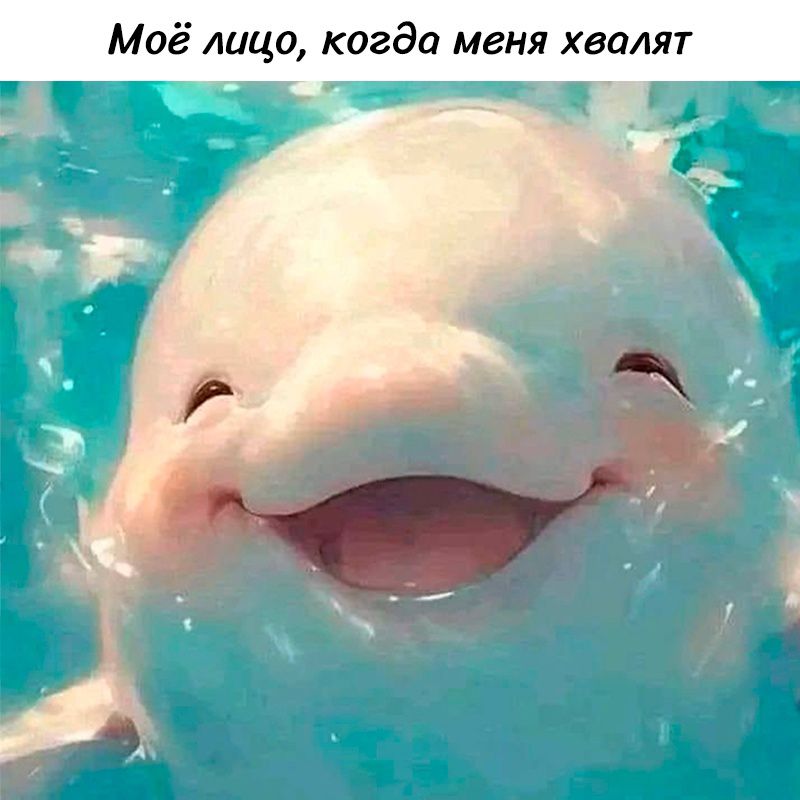 Моё лицо когда меня хвалят в