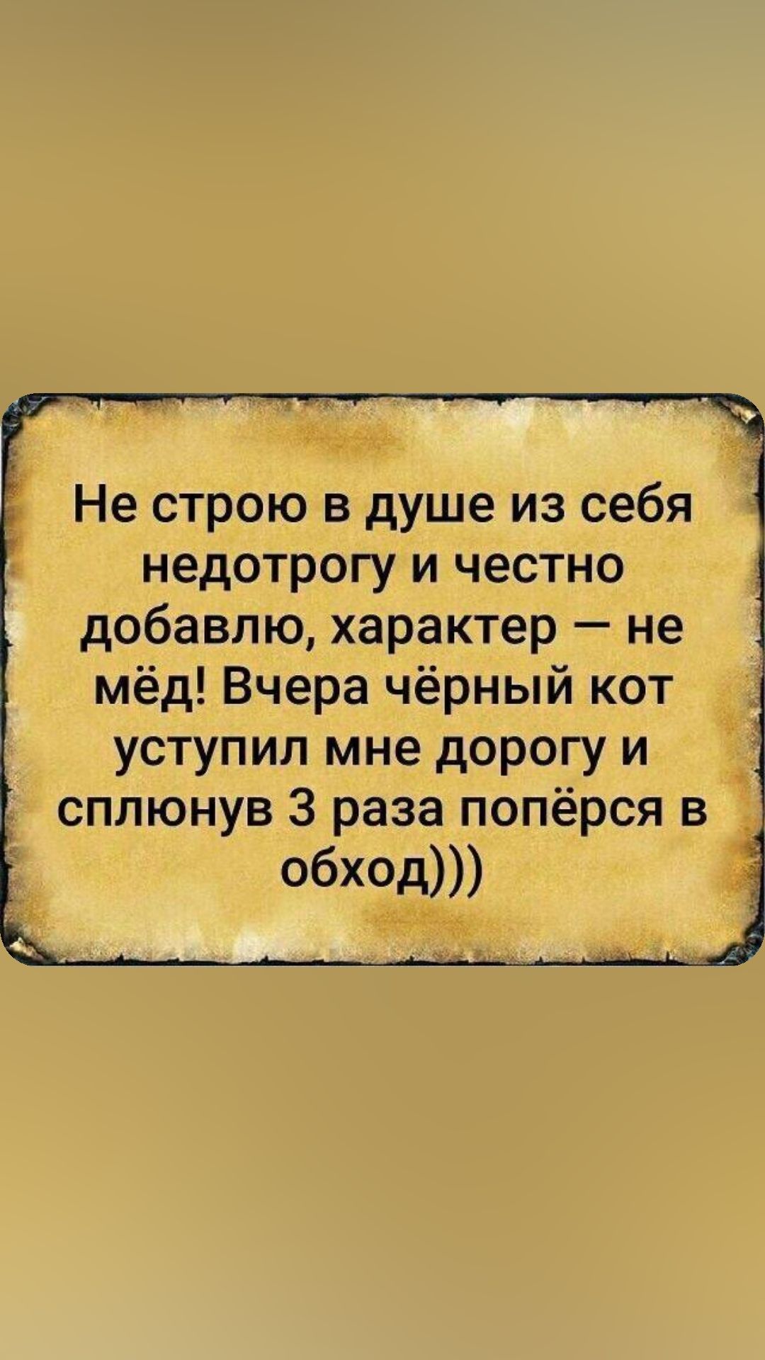 Не строю в душе из себя недотрогу и честно добавлю характер не мёд Вчера чёрный кот уступил мне дорогу и сплюнув 3 раза попёрся в _ обход