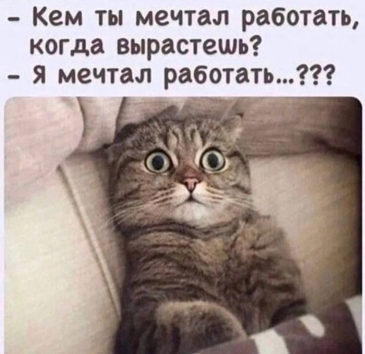 Кем ты мечтал работать когда вырастешь Я мечтал работать