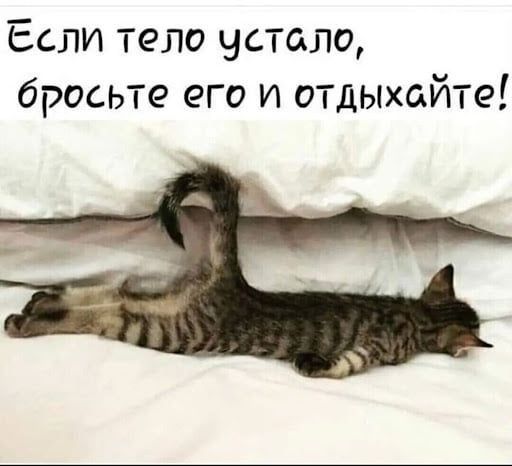 Если тело чЧстоло бросьте его и отдыхайте