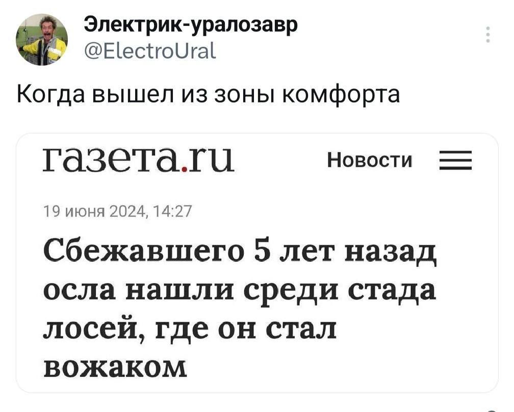 Электрик уралозавр Ееснота Когда вышел из зоны комфорта газеталти Новости 19 июня 2024 142 Сбежавшего 5 лет назад осла нашли среди стада лосей где он стал вожаком