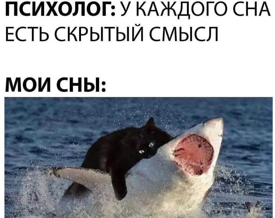 ПСИХОЛОГ У КАЖДОГО СНА ЕСТЬ СКРЫТЫЙ СМЫСЛ МОИ СНЫ