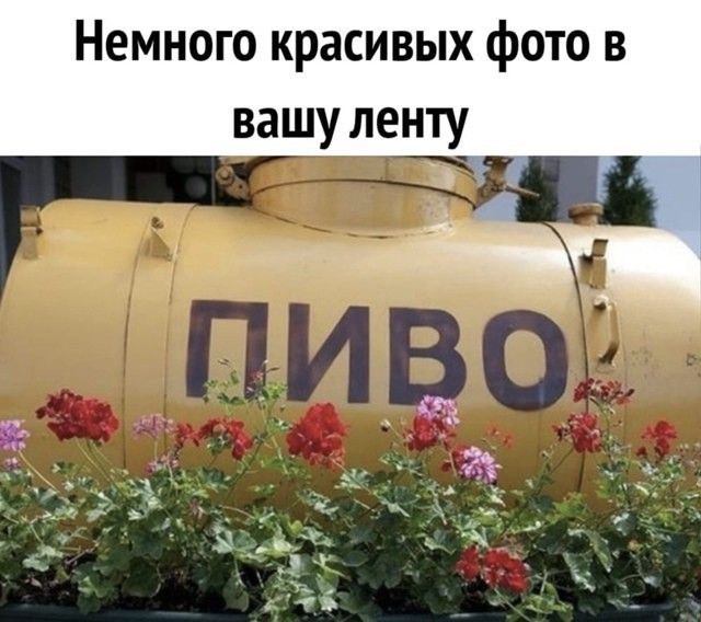 Немного красивых фото в вашу ленту 3