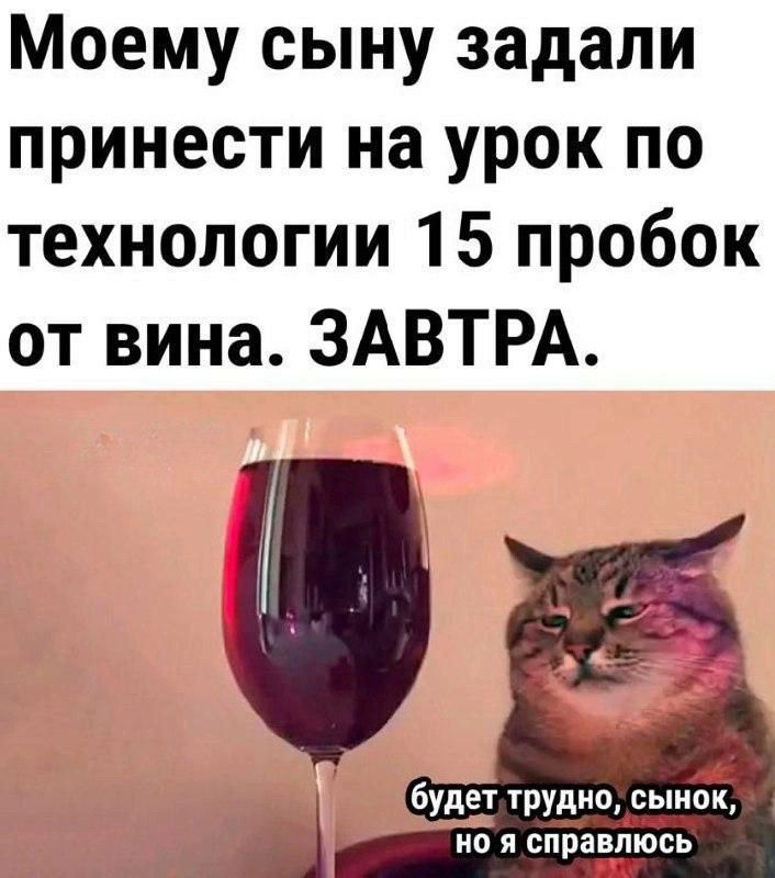 Моему сыну задали принести на урок по технологии 15 пробок от вина ЗАВТРА И ои будет трудно сынок но я справлюсь