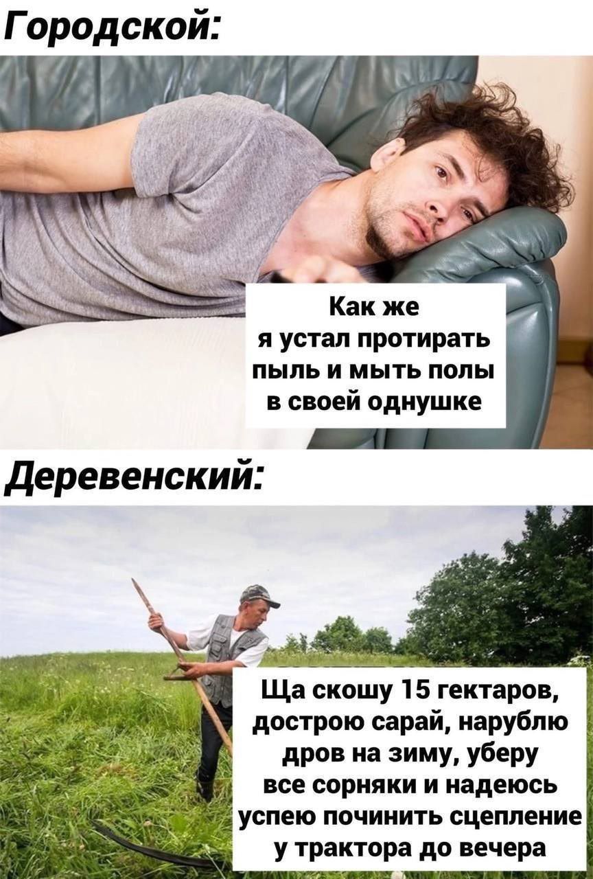 Городской оЧ Как же я устал протирать пыль и мыть полы в своей однушке Ща скошу 15 гектаров дострою сарай нарублю дров на зиму уберу все сорняки и надеюсь успею починить сцепление у трактора до вечера