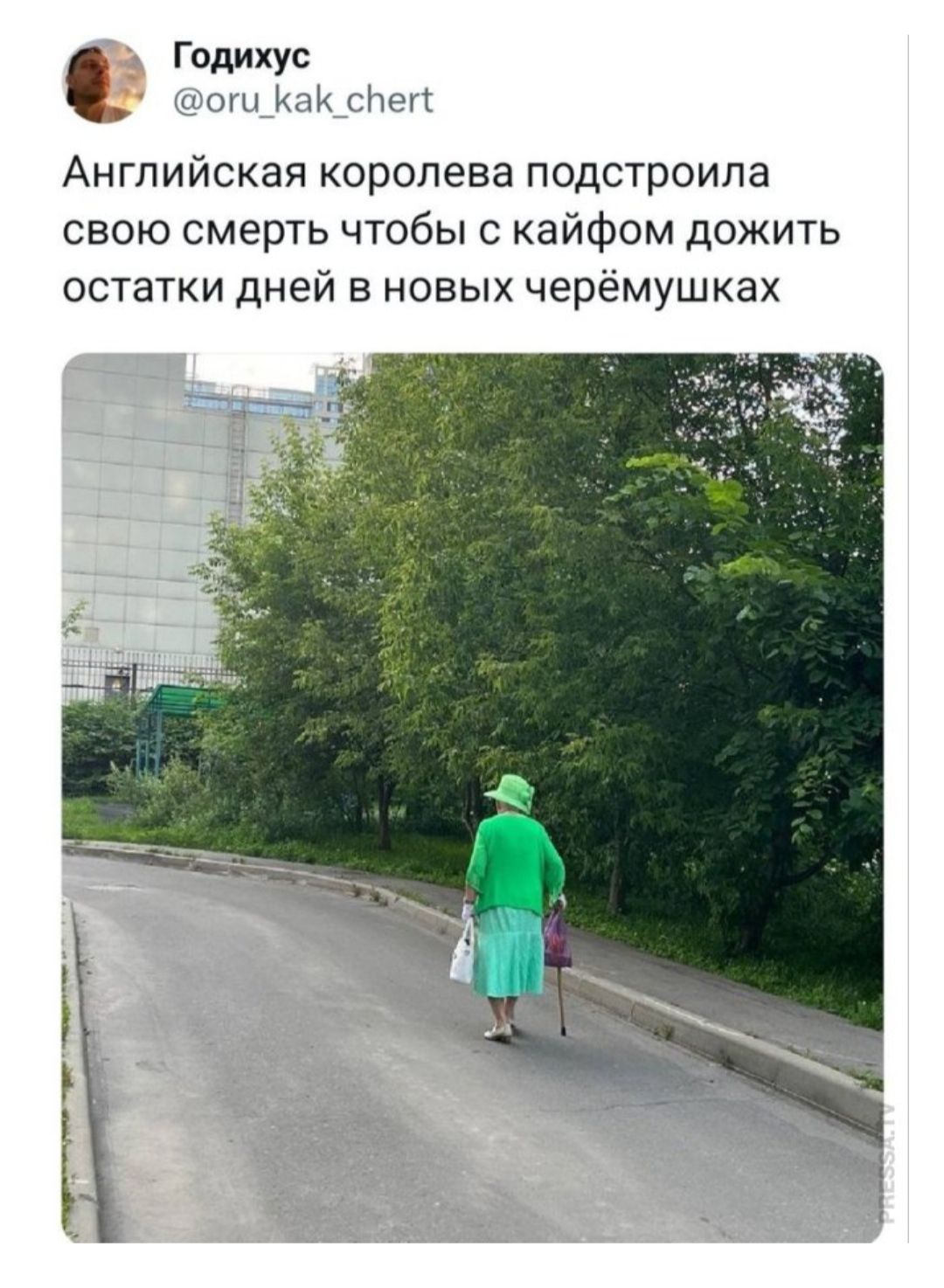 в Годихус соллоксен Английская королева подстроила свою смерть чтобы с кайфом дожить остатки дней в новых черёмушках