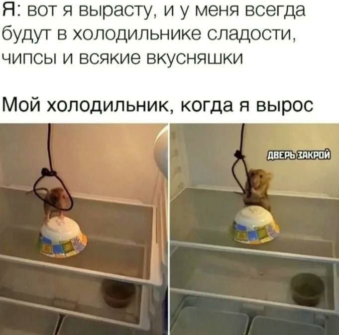 Я вот я вырасту и у меня всегда будут в холодильнике сладости чипсы и всякие вкусняшки Мой холодильник когда я вырос ДВЕРЬ ХАКРОЙ