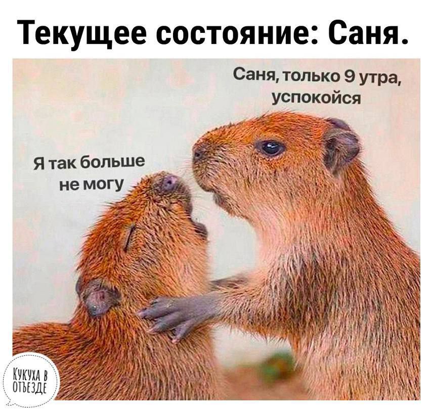 Текущее состояние Саня Саня только 9 утра успокойся Е Я так больше КО ОВЕДЕ