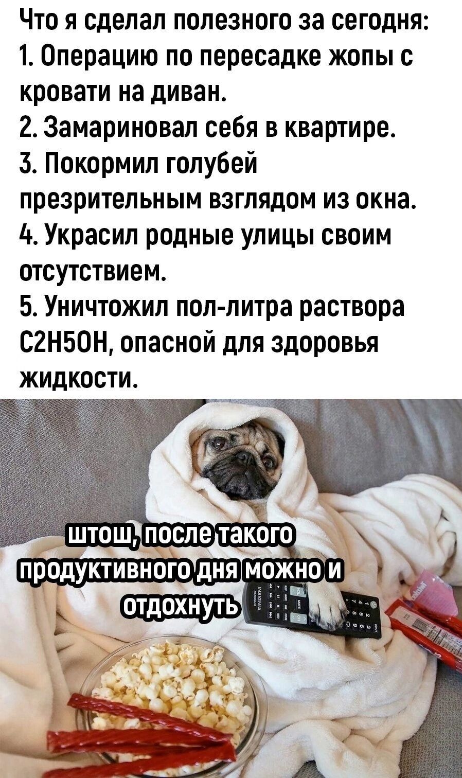 Что я сделал полезного за сегодня 1 Операцию по пересадке жопы с кровати на диван 2 Замариновал себя в квартире 3 Покормил голубей презрительным взглядом из окна 4 Украсил родные улицы своим отсутствием 5 Уничтожил пол литра раствора С2Н5ОН опасной для здоровья жидкости штошпослелтакого продуктивного дня можн ч