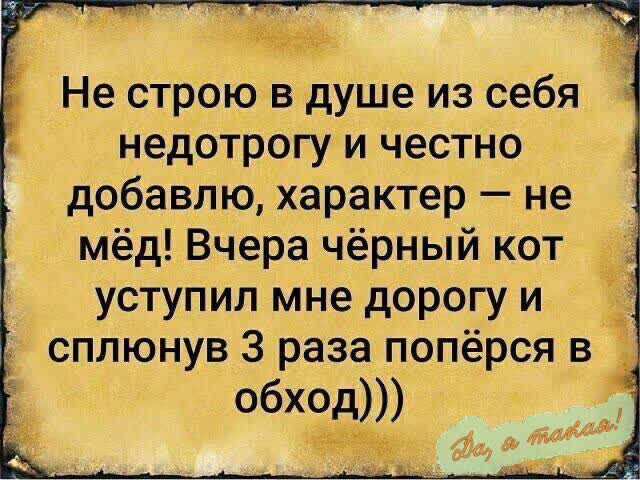 ы Не строю в душе из себя недотрогу и честно добавлю характер не мёд Вчера чёрный кот уступил мне дорогуи сплюнув 3 раза попёрся в