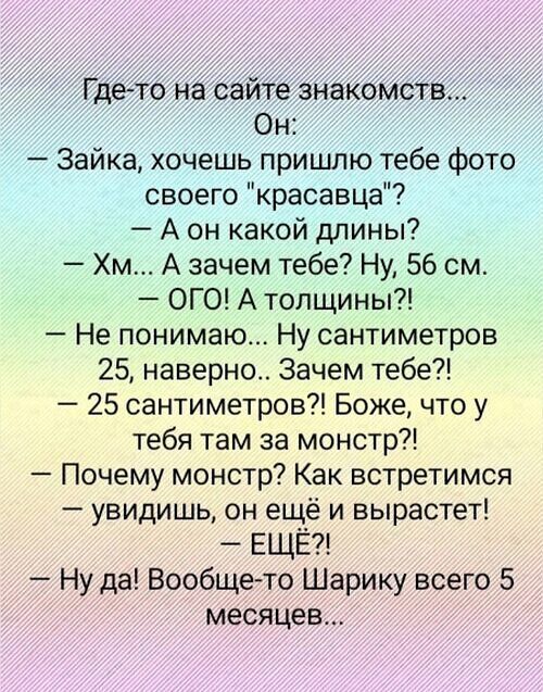 Где то на сайте знакомств Он Зайка хочешь пришлю тебе фото своего красавца Аон какой длины Хм А зачем тебе Ну 56 см ОГО А толщины Не понимаю Ну сантиметров 25 наверно Зачем тебе 25 сантиметров Боже что у тебя там за монстр Почему монстр Как встретимся увидишь он ещё и вырастет ЕЩЁ Ну да Вообще то Шарику всего 5 месяцев