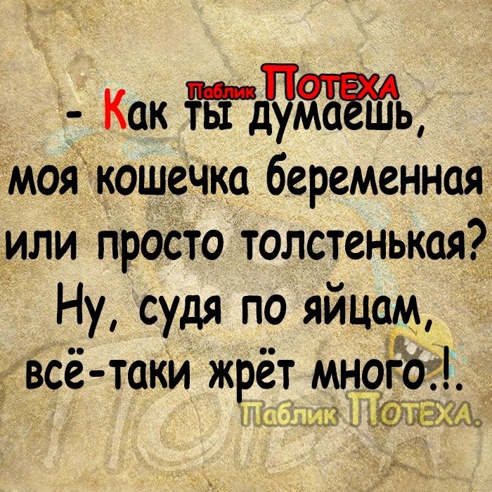 Как ЁЛ аёШЬ моякошечка беременная или просто толстенькая Ну судя по яицам всё таки жрет многоуі ТТаблик П ОТЕХА
