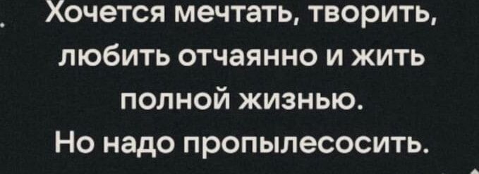 Хочется мечтать творить любить отчаянно и жить полной жизнью Но надо пропылесосить