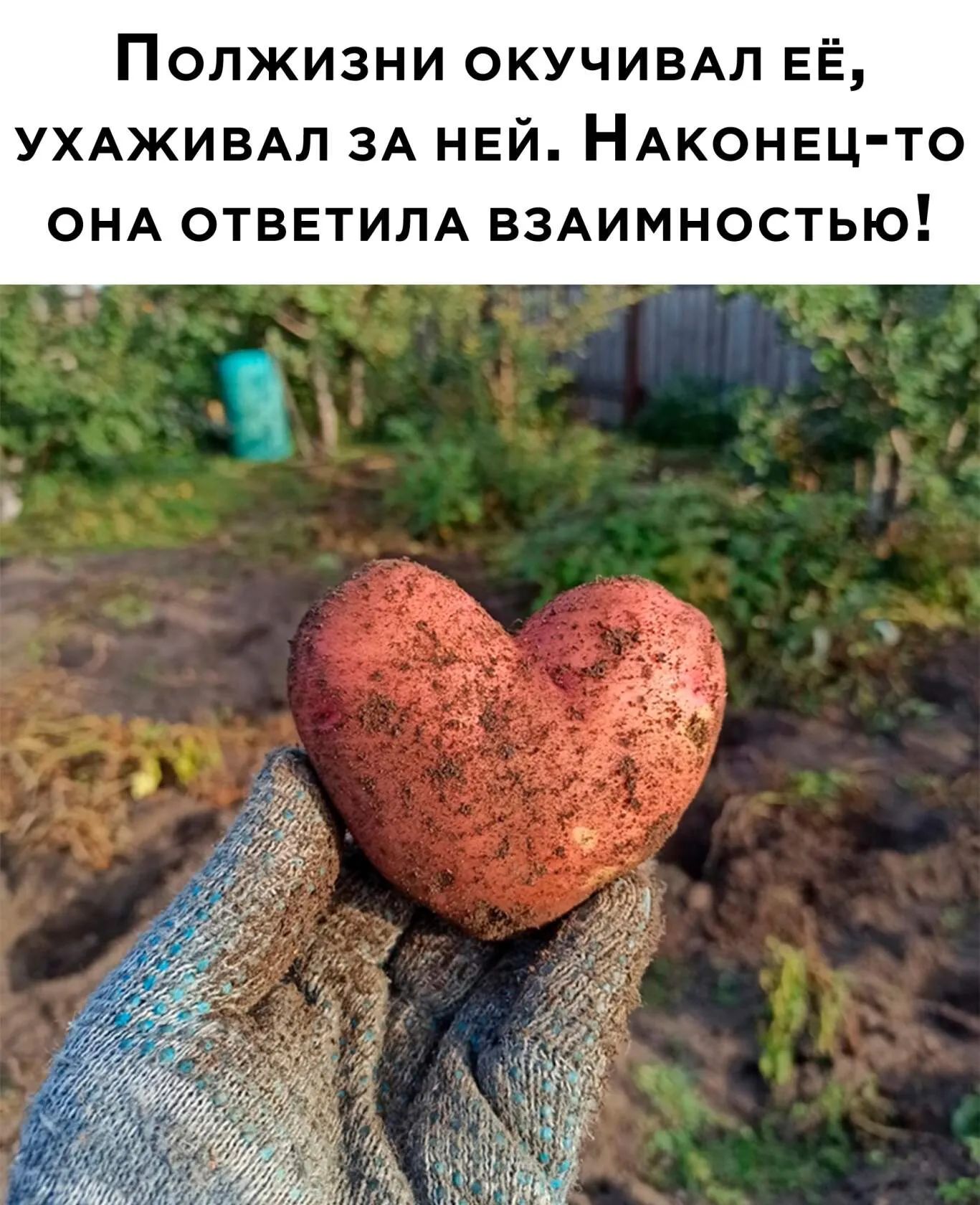 ОЛЖИЗНИ ОКУЧИВАЛ ЕЁ УХАЖИВАЛ ЗА НЕЙ НАКОНЕЦ ТО ОНА ОТВЕТИЛА ВЗАИМНОСТЬЮ _
