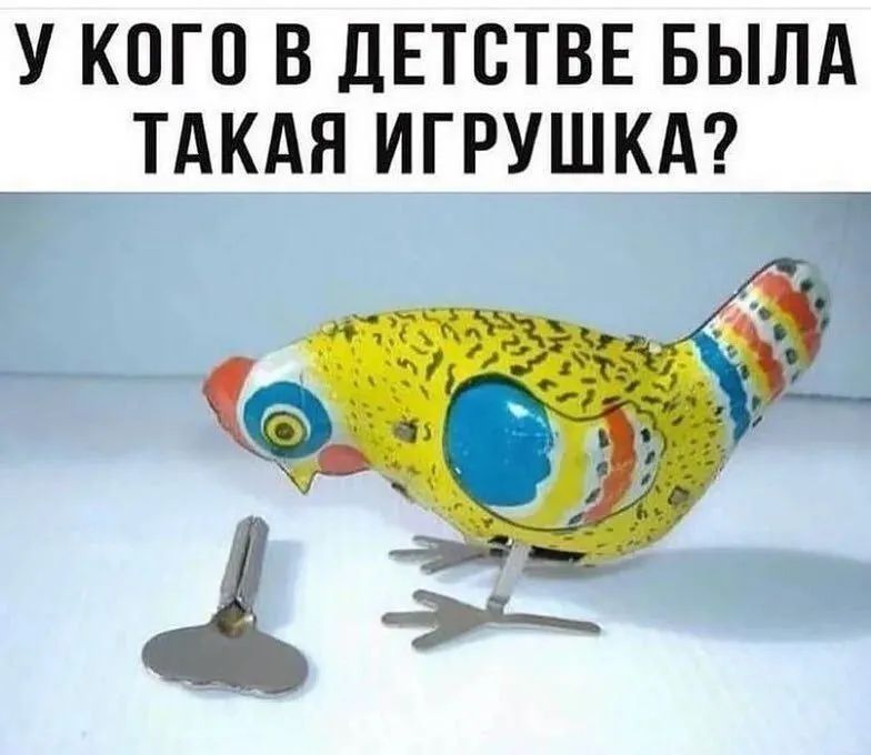 У КОГО В ДЕТСТВЕ БЫЛА ТАКАЯ ИГРУШКА я