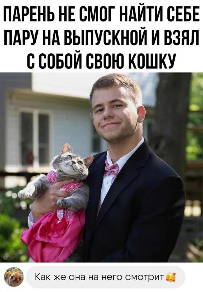 ПАРЕНЬ НЕ СМОГ НАЙТИ СЕБЕ ПАРУ НА ВЫПУСКНОЙ И ВЗЯЛ С СОБОЙ СВОЮ КОШКУ м у за А лао Ё Как же она на него смотрит