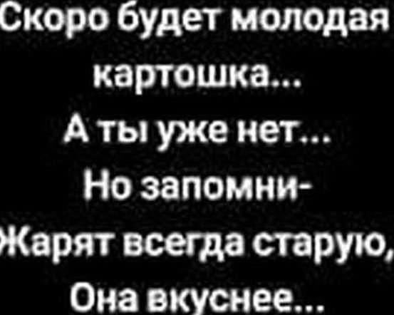 Скоро будет молодая картошка А ты уже нет Но запомни Жарят всегда старую Она вкуснее