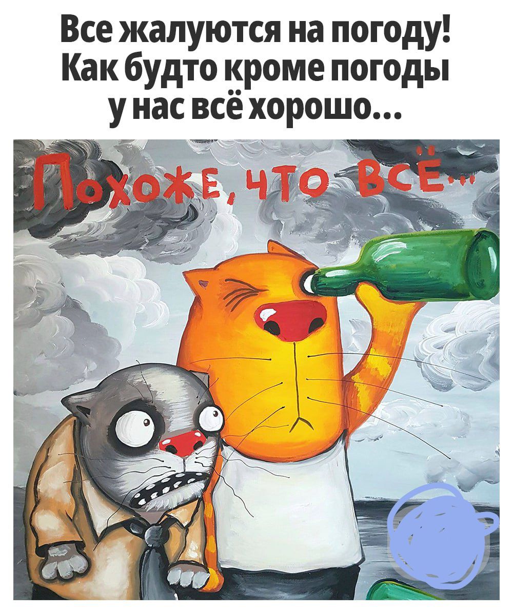Все жалуются на погоду Как будто кроме погоды унасвсё хорошо и