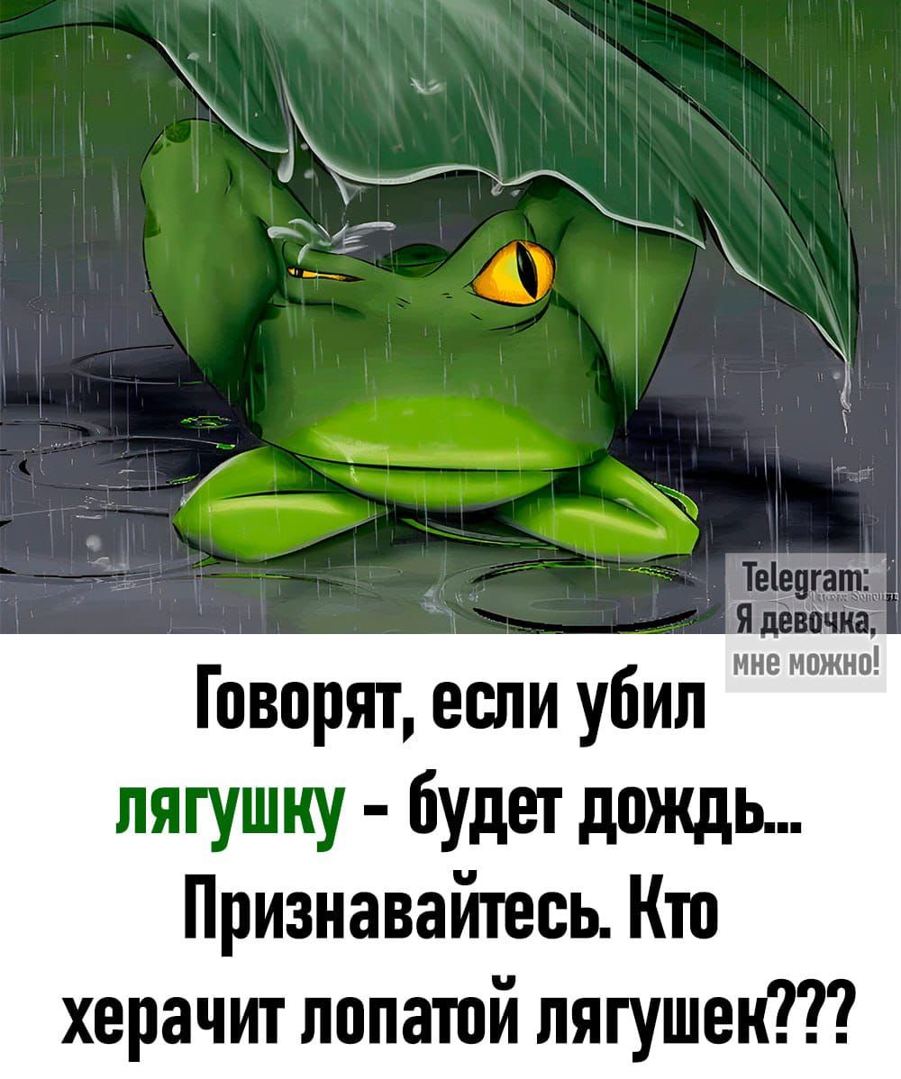 мне ножно Говорят если убил лягушку будет дождь Признавайтесь Кто херачит лопатой лягушек