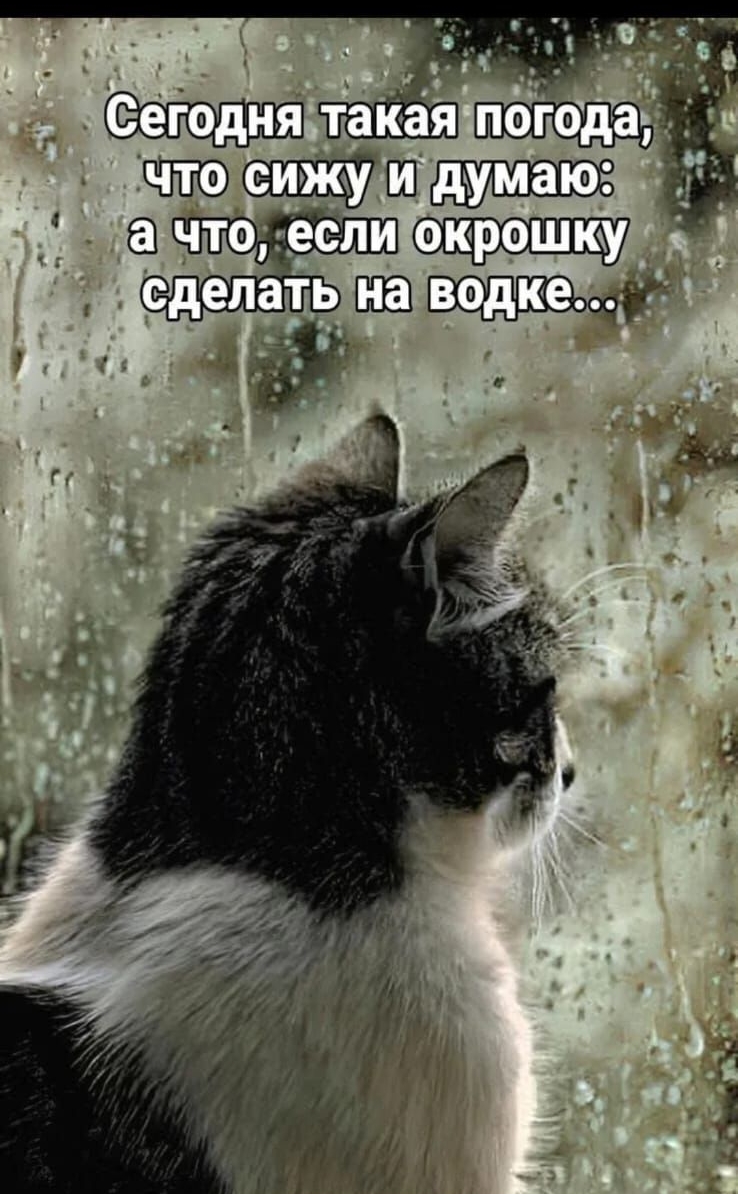 ы акаі чтосижудидумаю М ачтоеслитокрошку сделть натводке 4