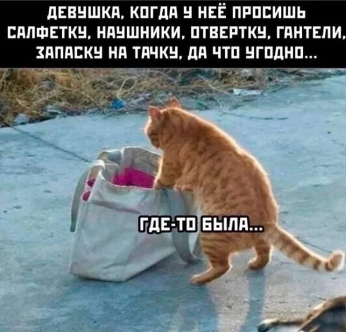 ДЕВЧШКА КОГДА У НЕЁ ПРОСИШЬ САЛФЕТКУ НАУШНИКИ ОТВЕРТКУ ГАНТЕЛИ ЗАПАСКУ НА ТАЧКУ ДА ЧТО УГОДНО