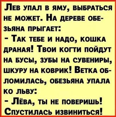 ЭЛЕВ УПАЛ В ЯМУ ВЫБРАТЬСЯ НЕ МОЖЕТ НА ДЕРЕВЕ ОБЕ ЗЬЯНА ПРЫГАЕТ ТАК ТЕБЕ И НАДО КОШКА ДРАНАЯ Твои КОГТИ ПОЙдУТ НА БУСЫ ЗУБЫ НА СУВЕНИРЫ ШКУРУ НА КОВРИК ВЕТКА ОБ ЛОМИЛАСЬ ОБЕЗЬЯНА УПАЛА ко ЛЬВУ ЛЕваА ТЫ НЕ ПОВЕРИШЬ СпустилАсь извиниться