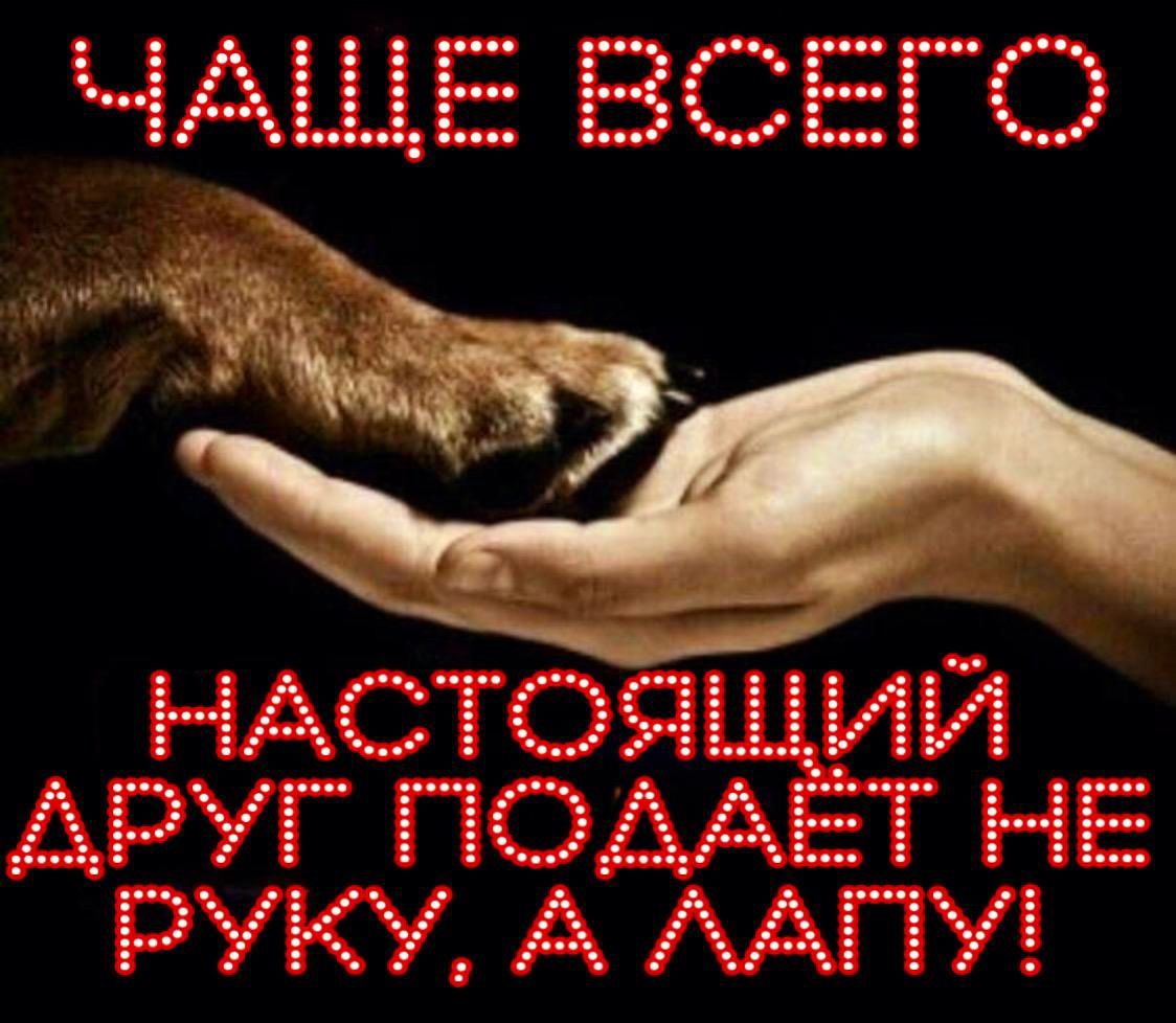 г