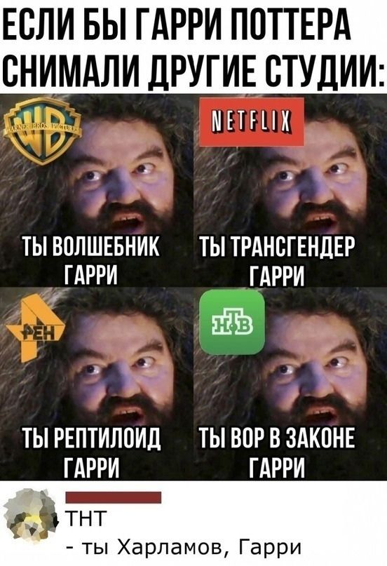 ЕСЛИ БЫ ГАРРИ ПОТТЕРА СНИМАЛИ ДРУГИЕ СТУДИИ МЕР Чд а ТЫ ВОЛШЕБНИК ТЫ ТРАНСГЕНДЕР ГАРРИ ГАРРИ р 5 оо ч 5 ТЫ РЕПТИЛОЙД ТЫ ВОР В ЗАКОНЕ ГАРРИ ГАРРИ Тнт ты Харламов Гарри