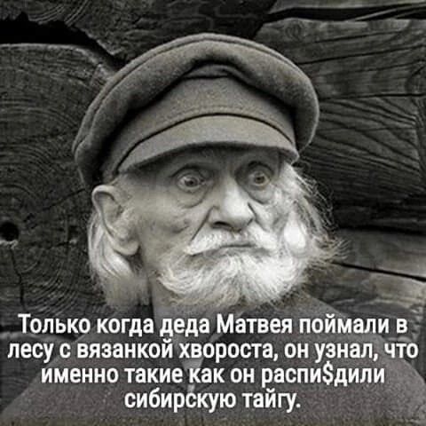 Только когда Ёда Матвея пбйТа и_в ы лесу связанкой хвороста он узнал что именно такие Как он распидил сибирёкую тайгу