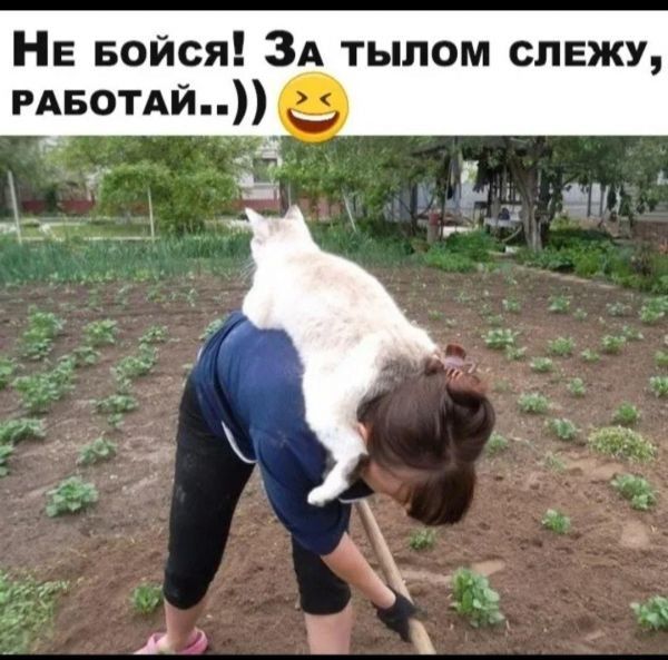 НЕ БОЙся ЗА ТЫЛОМ СЛЕЖУ РАБОТАЙ 2