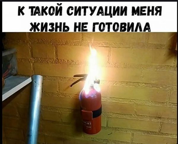 К ТАКОЙ СИТУАЦИИ МЕНЯ ЖИЗНЬ НЕ ГОТОВИЛА