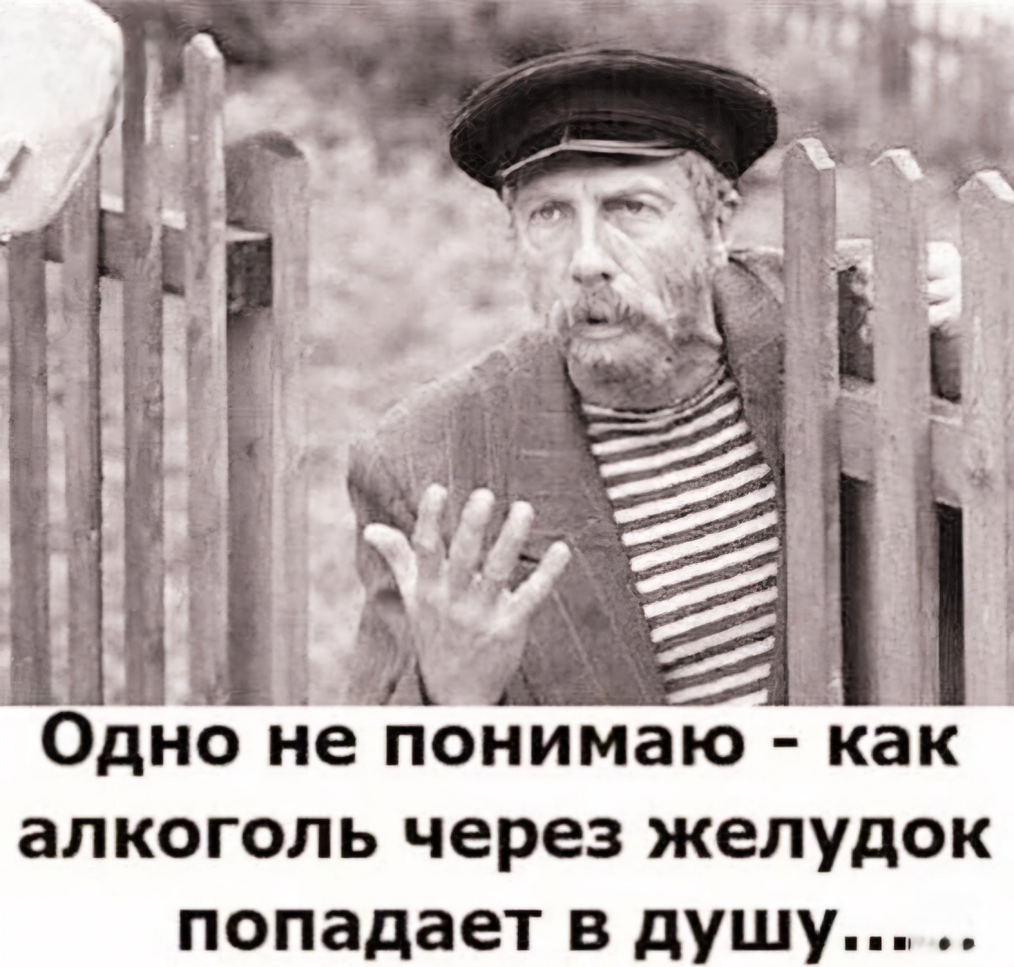 ОДНО не ПОНИМЗЮ как алкоголь через желудок попадает в душщу